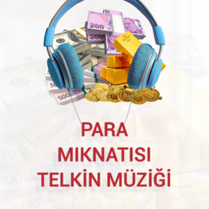 PARA MIKNATISI TELKİN MÜZİĞİ